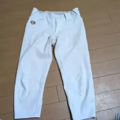 DESCENTE 野球 ユニフォーム パンツ 練習着 レギュラータイプ M