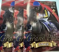 12/28 JRA レーシングプログラム ③