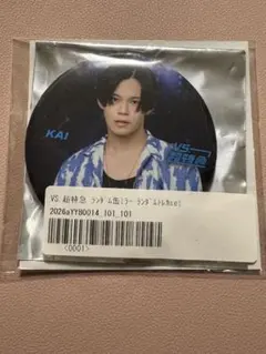 超特急 VS超特急 ランダム缶ミラー カイくん