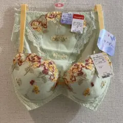 Triumph 寄せアゲハD70&Mミントグリーン 花柄刺繍ブラジャー