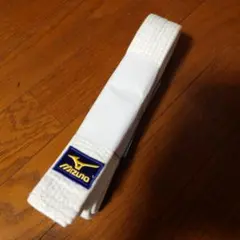 Item thumbnail for item 740e14b6-41d6-41bc-ae16-291bcc2fef0c