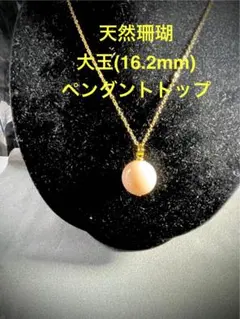 2025年最新】大玉珊瑚の人気アイテム - メルカリ