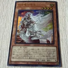 遊戯王 白き竜の落胤 黒き竜のエクレシア - メルカリ