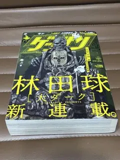 ゲッサン 2019年 4月号 大ダーク 新連載 ドロヘドロ 作者 林田球