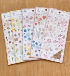 Item thumbnail for item 416ecd3b-c3c5-4f63-ab12-cd87509a1935