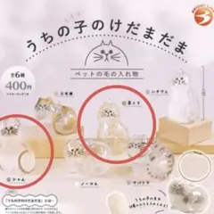 【 国内正規品 】 うちの子のけだまだま 茶トラ　シャム　2種セット　新品