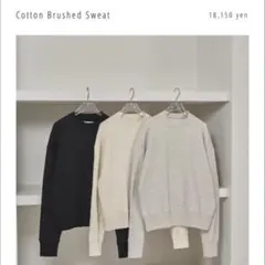 Cotton Brushed Sweat アイボリー