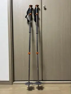 2025年最新】スキーポール ブラックダイヤモンドの人気アイテム - メルカリ