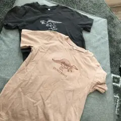 130cm 西松屋スピノサウルスと恐竜のTシャツ2枚セット