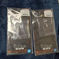 一番くじ ハイキュー!! 全国への道 F賞 アクリルチャーム 宮治 北信介