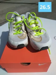 Item thumbnail for item 25d459f6-fc33-46c7-a693-67c78a08293b