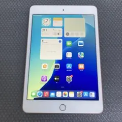 2524極美品新品級☆電池最良好☆iPad mini5 64GB WIFIモデル