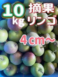 長野県北部 農家直送 摘果リンゴ 箱込み 10kgのサムネイル