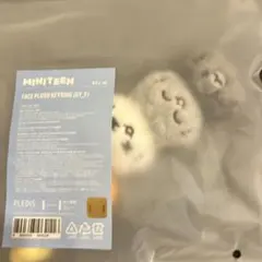 SEVENTEEN MINITEEN マスコット キーリング ジュン