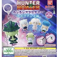 ハンターハンター　キメラアント