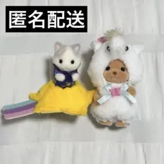 ラテネコの小さい赤ちゃん トイプードルの赤ちゃん