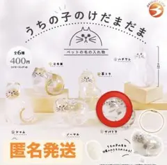 take10291029様 リクエスト 2点 まとめ商品