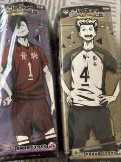 一番くじ ハイキュー!! ~レッツゴートーキョー!!~ C賞 E賞