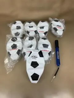 Item thumbnail for item cb906d12-9032-4cfe-bca4-882fd642a011