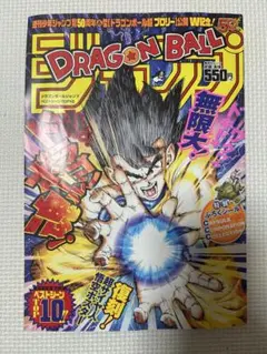 Item thumbnail for item 785ce5aa-84aa-49db-9873-b98a8894a40d