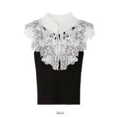 SNIDEL レースカラーノースリニット