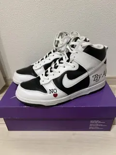 Supreme × Nike SB Dunk High By Any Means
