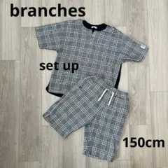 branches 150cmのサムネイル