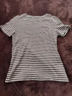 Eddie Bauer ストライプ Tシャツ Mサイズ