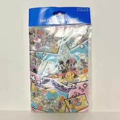 ディズニーリゾート　ポストカード6枚クリアファイル付き