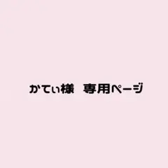 かてぃ様 専用ページ