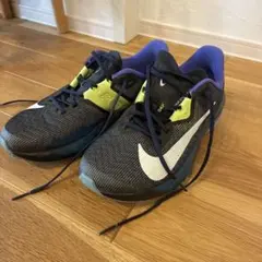 専用！NIKE AIR ZOOM RIVAL FLY 323.5cm