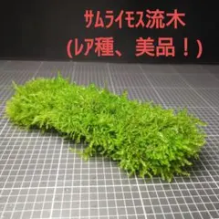 kaiさん様 リクエスト 2点 まとめ商品