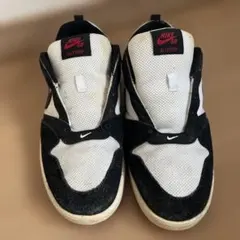 ナイキ SB アリウープ　NIKE SB ALLEYOOP 26センチ