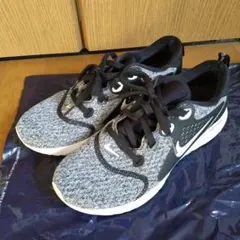 Item thumbnail for item 88395a8a-a7f1-43f7-ab9f-52f7233362fa