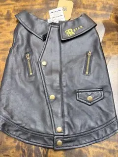 Item thumbnail for item 71dcddf1-23a0-4bc2-a1af-eae493efdeca