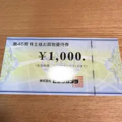 株主優待　ビックカメラ　1000円分