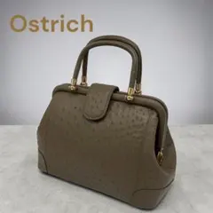 Ostrich ハンドバッグ グレー