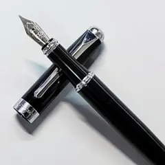 ジ*ン様 【1000円スタート】筆記確認済み アクアスキュータム万年筆Aquasのサムネイル
