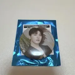 SEVENTEEN CAFE 2024 缶バッジ ディノ