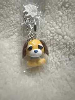 お茶犬チョコボーロ　ムハ