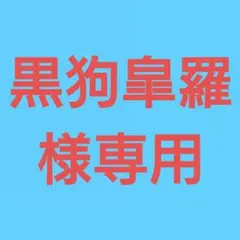 ◆(黒狗皐羅様専用！)おまとめ購入10点