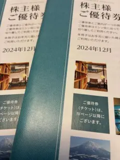 東急不動産ホールディングス 株主優待券 100〜500株 2冊セット