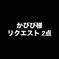 かぴぴ様 リクエスト 2点 まとめ商品