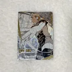 ハイキュー!! 日向翔陽 バボカ 頂P