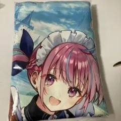 hololive 湊あくあ PS4/Switch