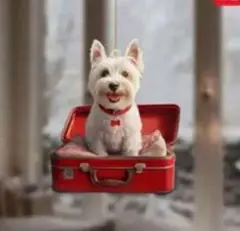 ノンタン様 リクエスト 2点 まとめ商品