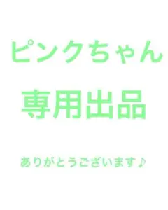 ピンクちゃん専用の出品