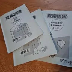 2026年最新】浜学園 小6の人気アイテム - メルカリ
