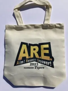 Item thumbnail for item 8aa8a01d-5bc1-4b15-979c-189ef8cda7ec