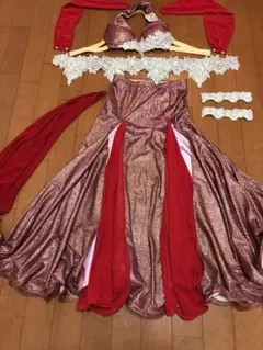ベリーダンス　衣装　sufel boutique　スフェルブティック Sufel boutique レオパード柄ベリーダンス衣装